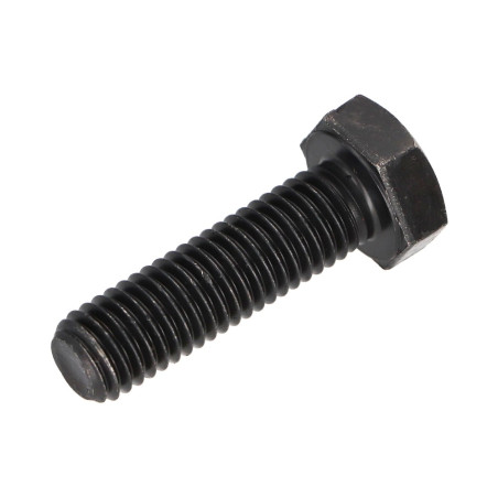 1 x Vite Per Metalli Testa Esagonale M10X30 Classe 10.9 Acciaio Grezzo