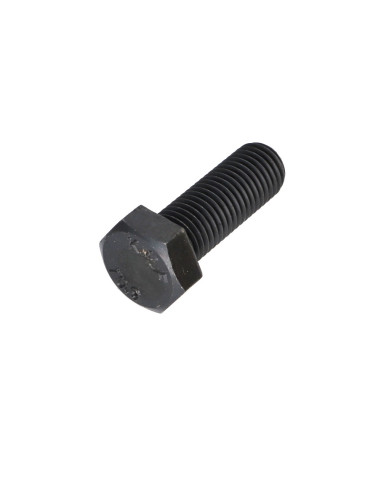 1 x Vite Per Metalli Testa Esagonale M16X45...