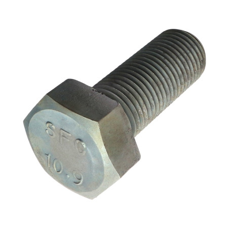 1 x Vite Per Metalli Testa Esagonale M39X100 Classe 10.9 Acciaio Grezzo
