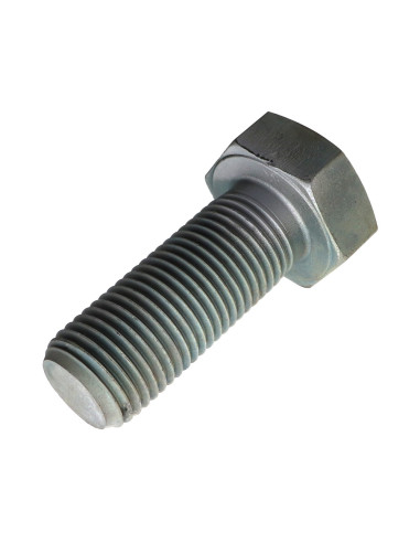 1 x Vite Per Metalli Testa Esagonale M39X100...