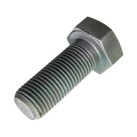 1 x Vite Per Metalli Testa Esagonale M39X100 Classe 10.9 Acciaio Grezzo