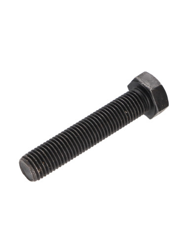 1 x Vite Per Metalli Testa Esagonale M20X70...