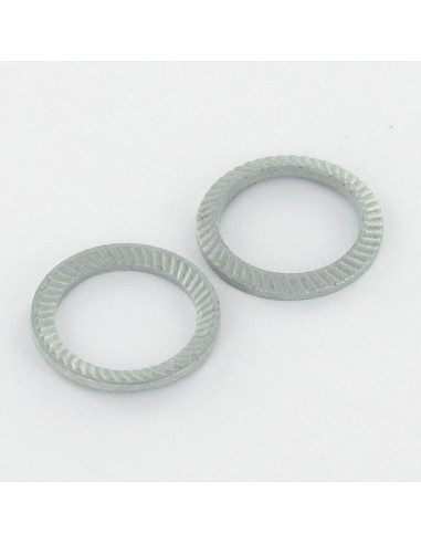 1 x Rondella SCHNORR VS M10X16X2 423100 Zincate