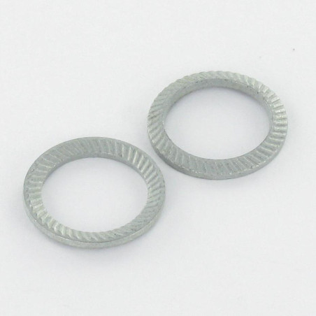 1 x Rondella SCHNORR VS M6X10X1.4 461400 Zincate