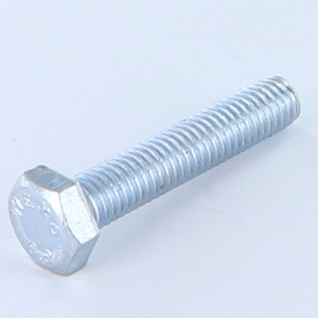 1 x Vite Per Metalli Testa Esagonale M6X30 Classe 8.8 Zincate