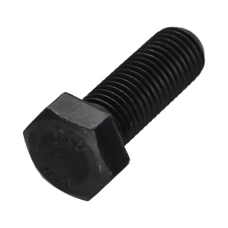 1 x Vite Per Metalli Testa Esagonale M16X55 Classe 8.8 Acciaio Grezzo