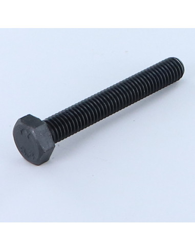 1 x Vite Per Metalli Testa Esagonale M10X65...