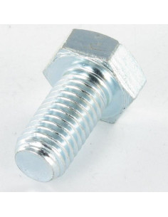 Vite Per Metalli Testa Esagonale M20X200 Classe 8.8 Zincate