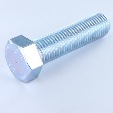 1 x Vite Per Metalli Testa Esagonale M20X80 Classe 8.8 Zincate