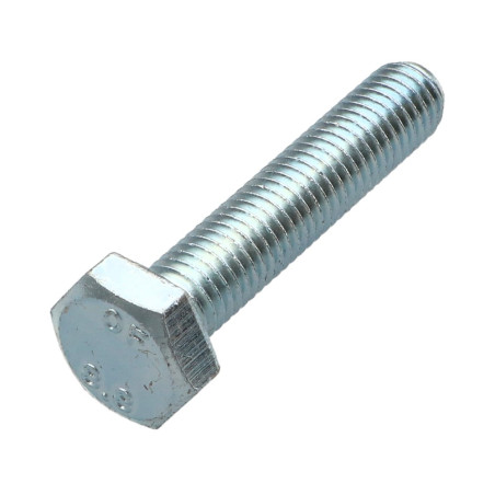 1 x Vite Per Metalli Testa Esagonale M10X55 Classe 8.8 Zincate