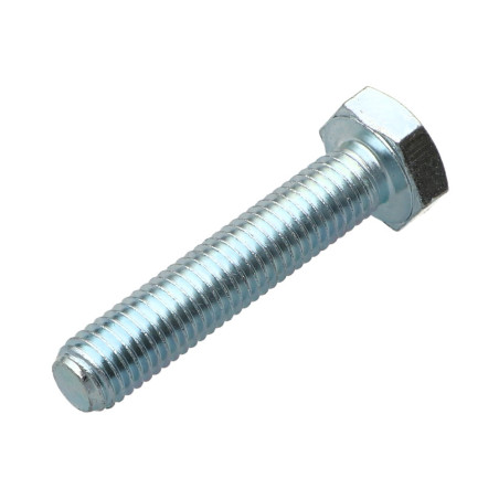 1 x Vite Per Metalli Testa Esagonale M10X55 Classe 8.8 Zincate