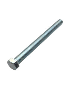 Vite Per Metalli Testa Esagonale M20X180 Classe 8.8 Zincate