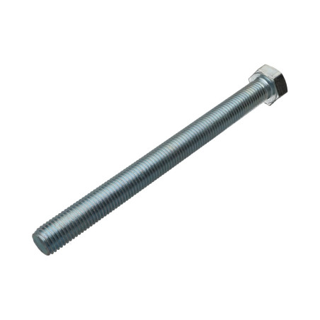 1 x Vite Per Metalli Testa Esagonale M20X180 Classe 8.8 Zincate