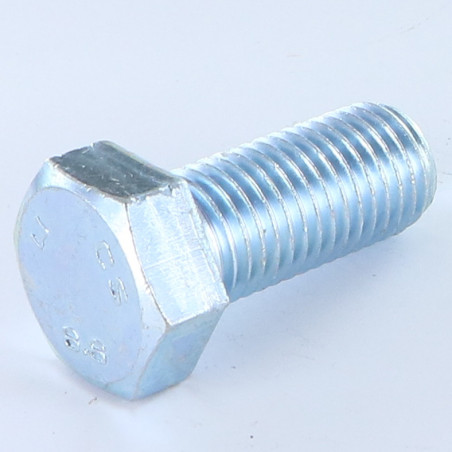 1 x Vite Per Metalli Testa Esagonale M20X50 Classe 8.8 Zincate