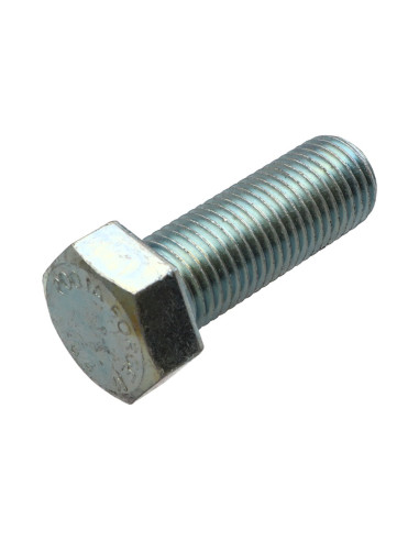 1 x Vite Per Metalli Testa Esagonale M24X50...