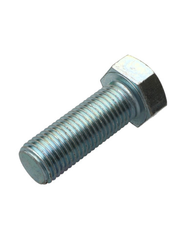 1 x Vite Per Metalli Testa Esagonale M24X50...