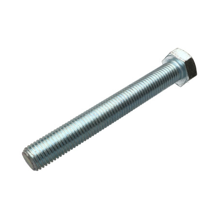 1 x Vite Per Metalli Testa Esagonale M24X180 Classe 8.8 Zincate