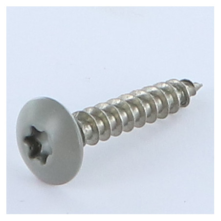 1 x Vite Bandella 6X35 Filettata Su 30 T30 Acciaio Inox A2 RAL7023