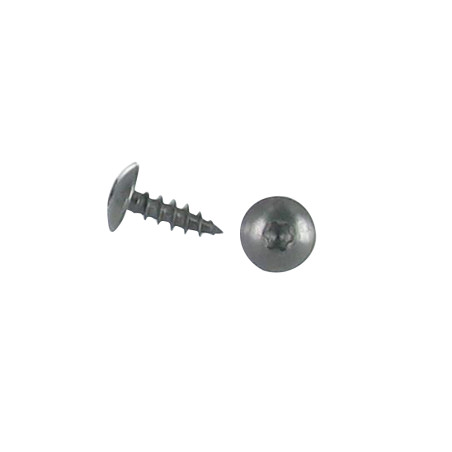 1 x Vite Bandella 6X20 Discussione completa T30 Acciaio Inox A2 Nero