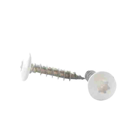 1 x Vite Bandella 6X40 Filettata Su 38 T30 Acciaio Inox A2 LQBLC Ral9016 Bianco Traffico