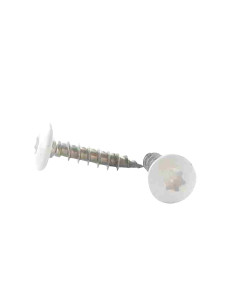 Vite Bandella 6X25 Discussione completa T30 Acciaio Inox...