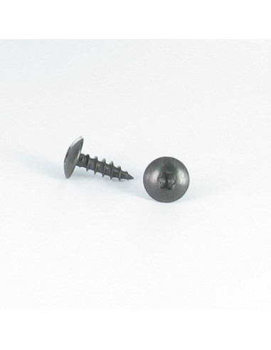 1 x Vite Bandella 6X40 Filettata Su 38 T30...