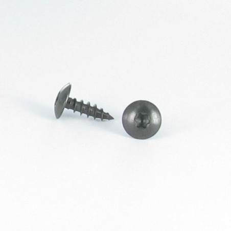 1 x Vite Bandella 6X40 Filettata Su 38 T30 Acciaio Inox A2 Nero