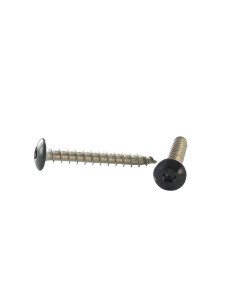 Vite Bandella 6X25 Discussione completa T30 Acciaio Inox...
