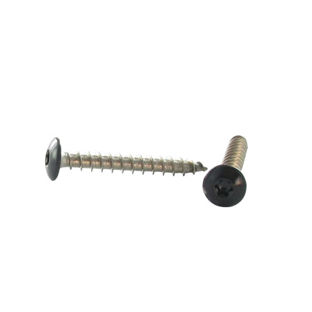 1 x Vite Bandella 6X25 Discussione completa T30 Acciaio Inox A2 Laccato Nero Ral9005 Nero Intenso