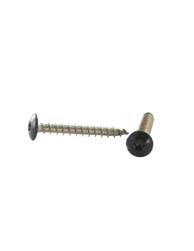 1 x Vite Bandella 6X40 Filettata Su 38 T30...
