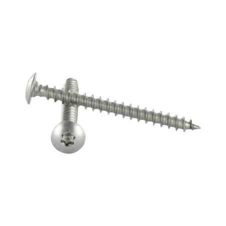 1 x Vite Bandella 6X30 Discussione completa T30 Acciaio Inox A2
