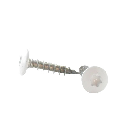 1 x Vite Bandella 7X50 Filettata Su 38 T30 Acciaio Inox A2 Ral9016 Bianco Traffico 80% BRILLANTE