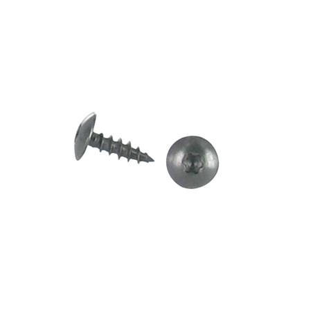 1 x Vite Bandella 6X30 Discussione completa T30 Acciaio Inox A2 Nero