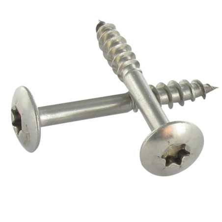1 x Vite Bandella 6X43 Filettata Su 20 Filettatura Parziale T30 Acciaio Inox A2