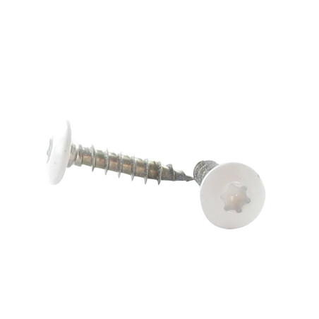 1 x Vite Bandella 6X30 Discussione completa T30 Acciaio Inox A2 Laccato Bianco Ral9016 Bianco Traffico