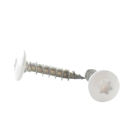 1 x Vite Bandella 7X40 Filettata Su 38 T30 Acciaio Inox A2 Ral9010 Bianco Puro 80% BRILLI