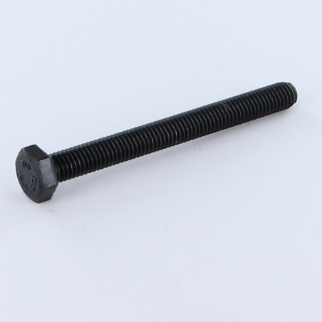 1 x Vite Per Metalli Testa Esagonale M22X70 Classe 10.9 Acciaio Grezzo