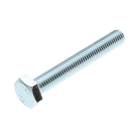 1 x Vite Per Metalli Testa Esagonale M10X80 Classe 10.9 Zincate