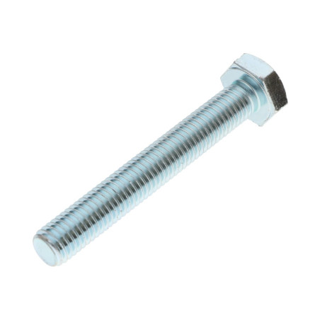 1 x Vite Per Metalli Testa Esagonale M10X80 Classe 10.9 Zincate