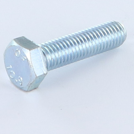 1 x Vite Per Metalli Testa Esagonale M14X25 Classe 10.9 Zincate