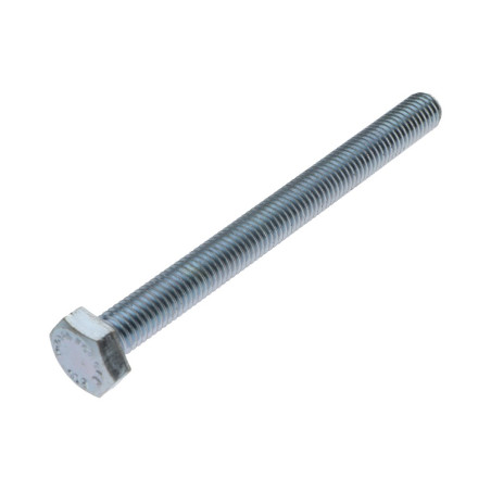 1 x Vite Per Metalli Testa Esagonale M10X110 Classe 10.9 Zincate