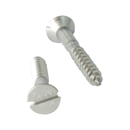 1 x Viti Per Legno Testa Forata Con Intaglio 4x16 Acciaio Inox A4