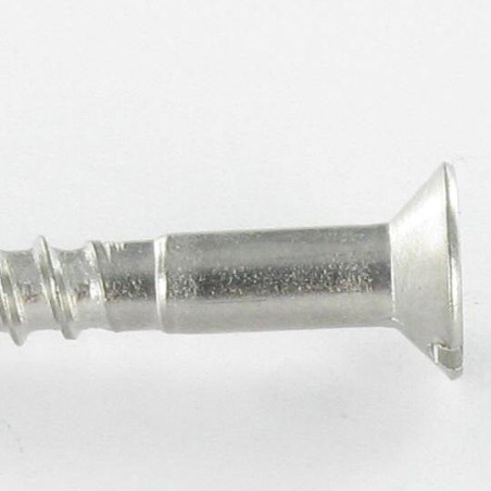 1 x Viti Per Legno Testa Forata Con Intaglio 4x16 Acciaio Inox A4