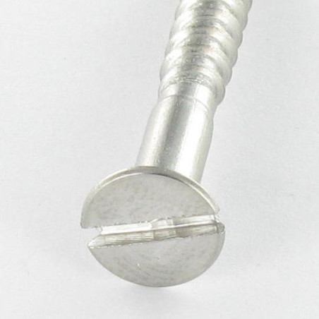 1 x Viti Per Legno Testa Forata Con Intaglio 4X20 Acciaio Inox A4