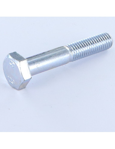 1 x Gambo Del Bullone Parzialmente Filettato...
