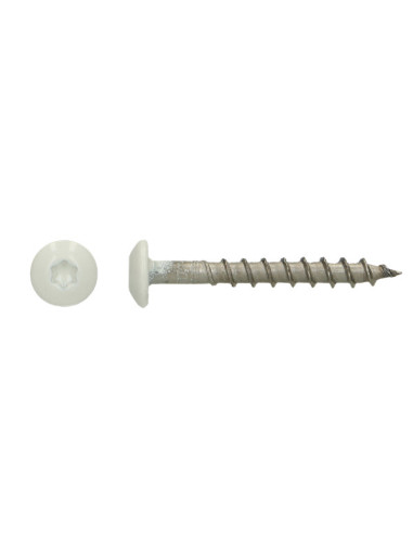 1 x Vite Bandella 4,5X35 T20 Acciaio Inox A4...