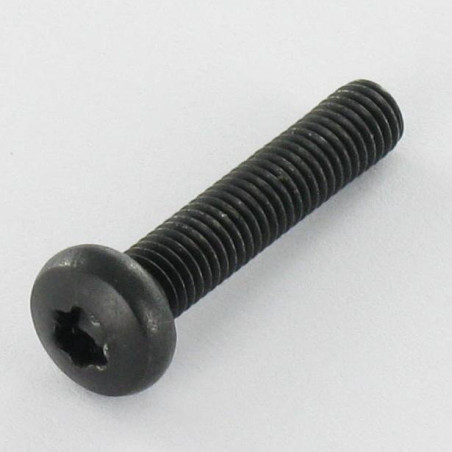 1 x Vite Per Metalli testa bombata larga Acciaio Inox A2 M5X25 Nero T20