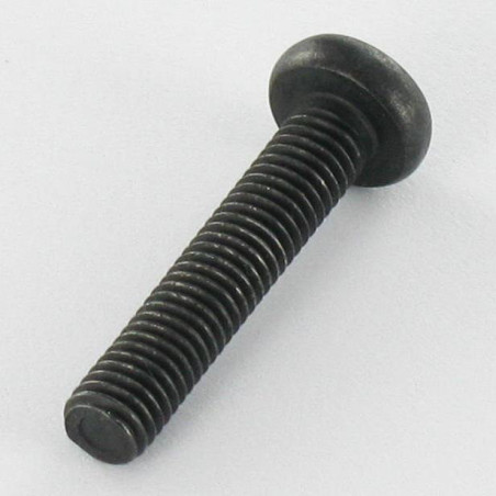 1 x Vite Per Metalli testa bombata larga Acciaio Inox A2 M5X25 Nero T20