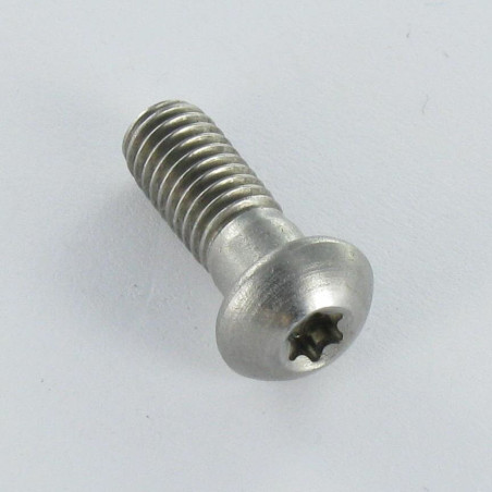 1 x Vite Per Metalli Testa Cilindrica Bombata Acciaio Inox A2 M6X16 Diametro Della Testa: 10.3 T20