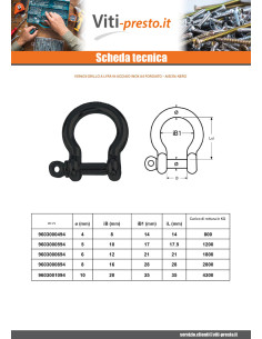 Grillo LIRA Forgiata Acciaio Inox A4 Nero Diametro 4 2